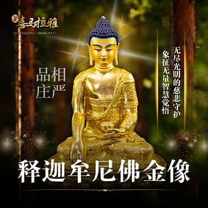 释迦牟尼佛金像 (无装藏)