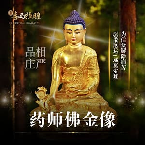 药师佛金像 (无装藏)